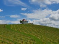 Weinberge von Slovenske Konjice: Abbild des Logos von Zlati Gric.jpg