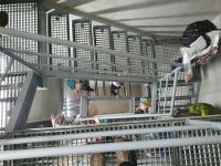 Weingut Zlati Gric.jpg