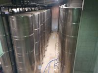 Weingut Zlati Gric.jpg