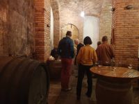 Weinkeller Andrejc.jpg