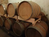 Weinkeller Andrejc.jpg