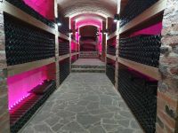 Weinkeller Andrejc.jpg