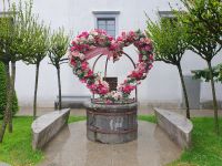 Burg von Ljubljana.jpg