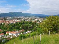 Blick auf Maribor.jpg