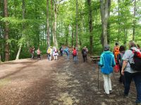 Wanderung in Maribor.jpg