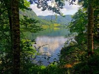 Am Bohijn See kann man hervorragend genießen und entspannen