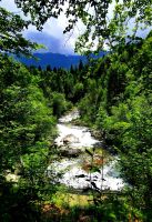 Die Mostnice Schlucht nahe Bohijn