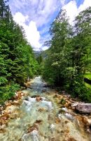 Die smaragdgrüne Soca