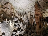 Höhle von Postojna oder Adelsberger Grotte auf Deutsch