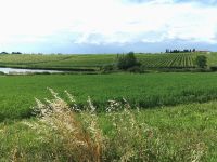 Auf dem Weg zur Weinverkostung