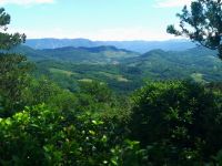 Blick in die Karstlandschaft