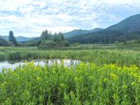 Landschaft am Sickersee, Cerknisko jezero