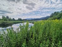 Landschaft am Sickersee, Cerknisko jezero