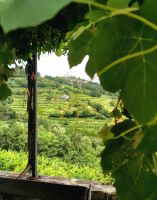 Gemütliches Plätzchen im Weingut Sosolic