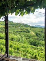 Blick vom Weingut Sosolic in die Umgebung, Region Brda
