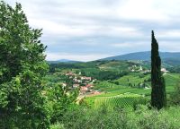 Landschaft bei Goriska Brda