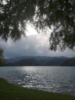 Bled - Auch die Natur schaft schwarz-weiß Bilder .....