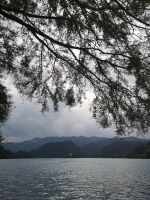 Weit ist die Insel...