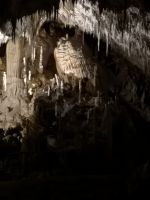  italienisches Flair: der schiefe Turm von Pisa umgeben mit Pasta