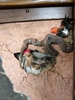 Unter dem Tresen .....