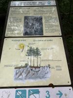 Schnellkurs aus Naturkunde..