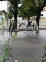 Und ein Exemplar vor meiner Linse