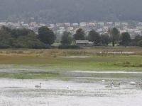 Der See wird kommen.....