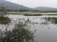 Ein Teil des Cerknica See  ist mit Wasser bedeckt
