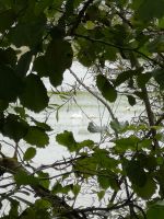 Romantik par excellence