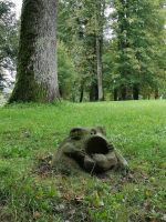 So einen  Frosch möchte man nicht küssen