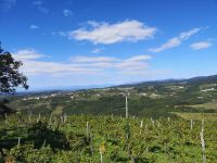 .... Goriska brda zu bewundern 