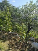 Auch sie fühlen sich wohl 