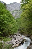 218 Bohinj, Savica