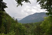 219 Bohinj, Blick zum Vogel