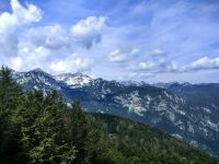 Der Vogel bleibt heute in den Wolken verborgen