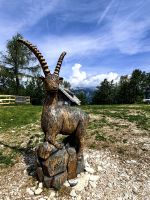 Zlatorok, das Goldhörnchen, hier auf dem Vogelplateau
