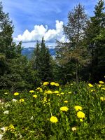Kulisse auf dem Vogelplateau