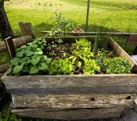 Ein kleines Hochbeet in Bohinsjka Bistrica