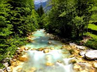 Die smaragdgrüne Soca