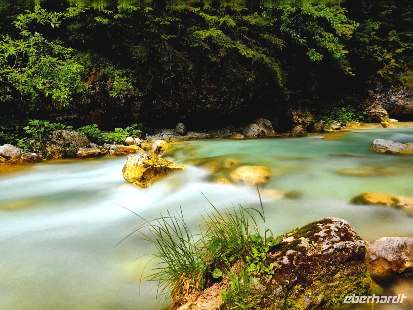 Die faszinierende Farbe der Soca