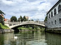 Die Drachenbrücke und links die alten Markthallen in Ljubljana