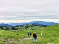 Wir laufen zur Velika Planina in 1666 Metern Höhe in den Steiner Alpen