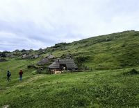Velika Planina