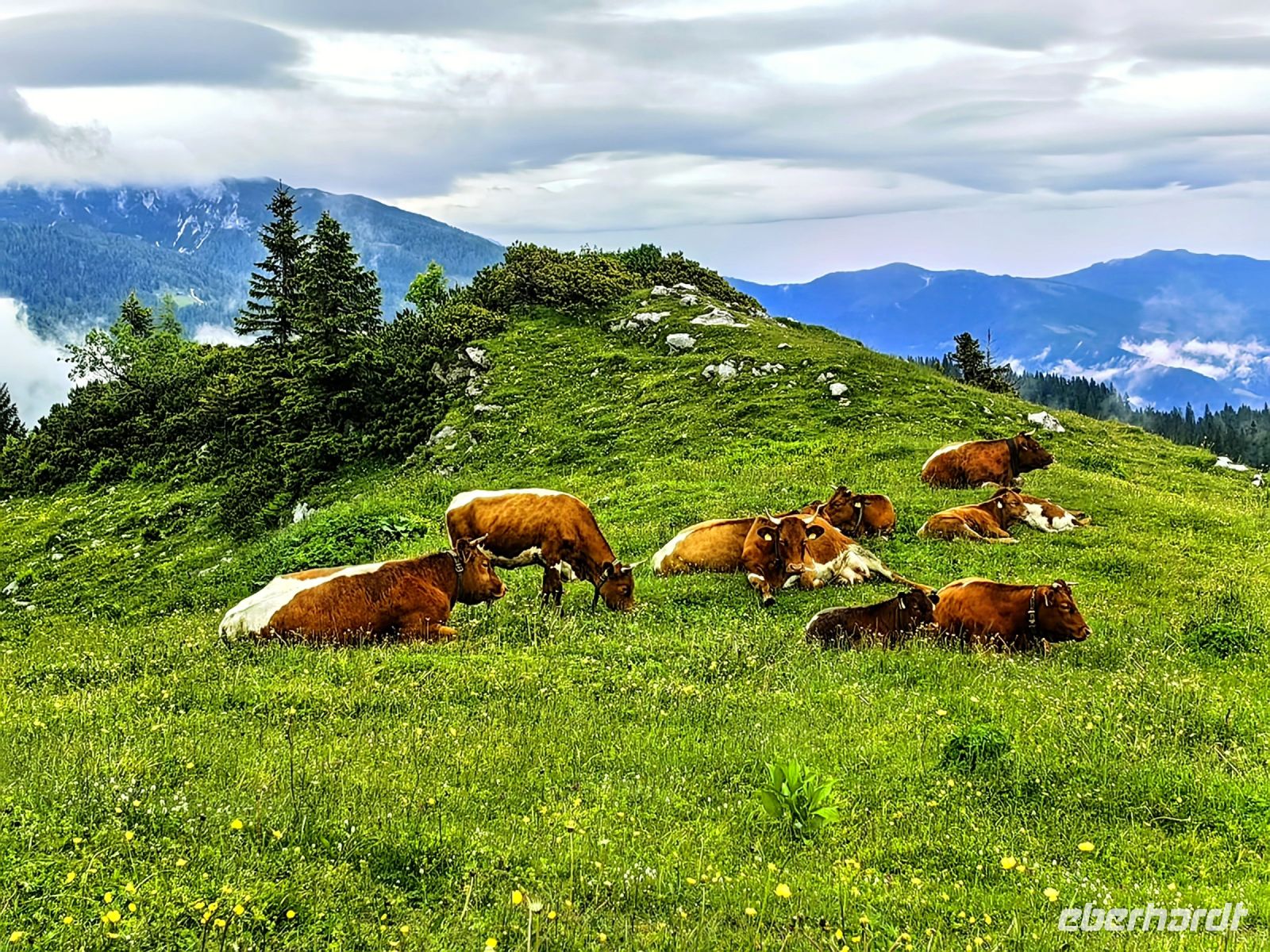 Friedliche Bergidylle in den Steiner Alpen
