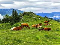 Friedliche Bergidylle in den Steiner Alpen