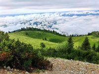 Auf der Alm unterwegs, Velika Planina