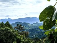 Blick auf die Umgebung von Stanjel