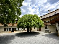 Maulbeerbaum auf dem Hof der Familie Scuka