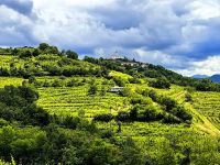 Kleinste Weinregion Sloweniens - Brda, hier Blick vom Weingut Sosolic
