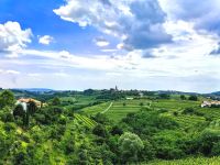 Blick vom Weingut Sosolic in die Umgebung, Region Brda